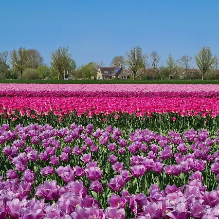 公寓 40 Op Recreatiepark De Wielen