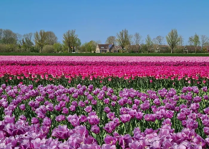 아파트 40 Op Recreatiepark De Wielen